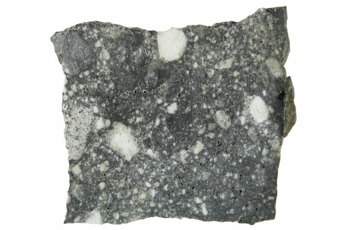 Polished Lunar Meteorite ( g) Slice - Aridal #360164